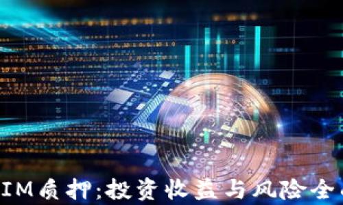 
TokenIM质押：投资收益与风险全面解析