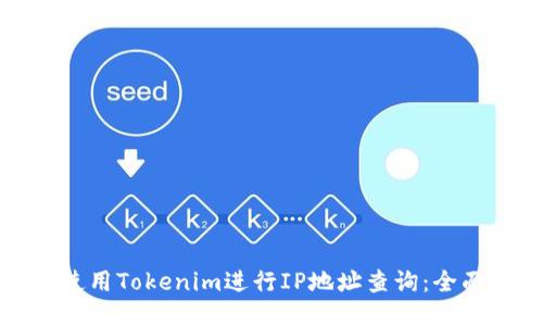 如何使用Tokenim进行IP地址查询：全面指南