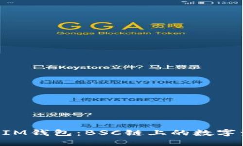 深入探索TokenIM钱包：BSC链上的数字资产管理新选择