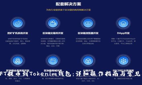 如何将NFT提币到Tokenim钱包：详细操作指南与常见问题解答