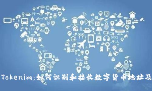 深入探讨Tokenim：如何识别和接收数字货币地址及其隐私性