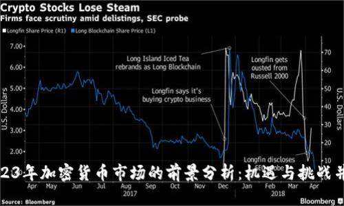 2023年加密货币市场的前景分析：机遇与挑战并存