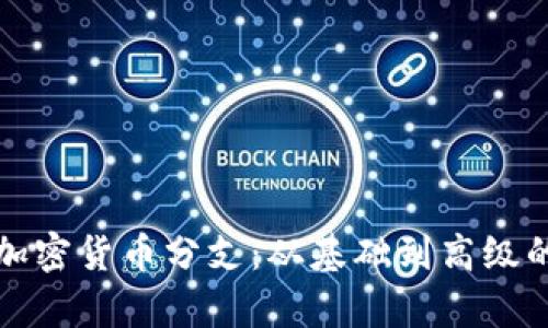 全面解析加密货币分支：从基础到高级的终极指南