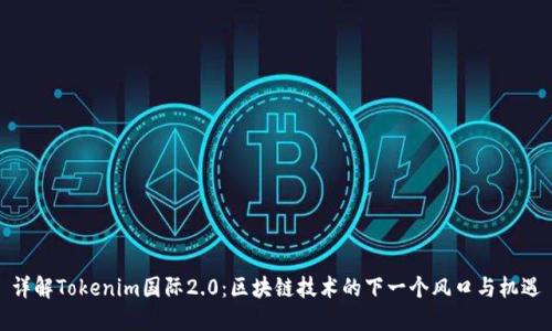 详解Tokenim国际2.0：区块链技术的下一个风口与机遇