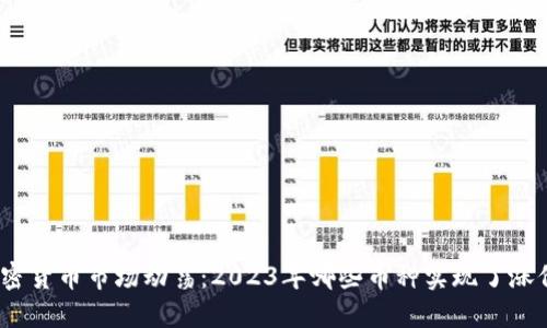 加密货币市场动荡：2023年哪些币种实现了涨价？