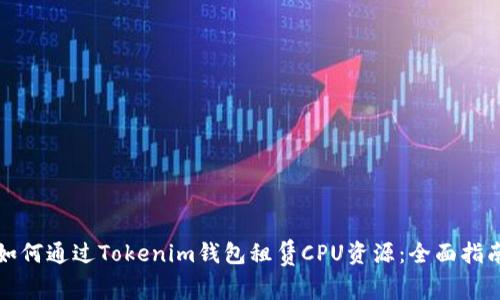 如何通过Tokenim钱包租赁CPU资源：全面指南