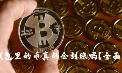 探究：Tokenim钱包里的币真的会到账吗？全面解读与用户指南