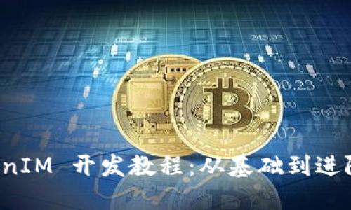 轻松掌握 TokenIM 开发教程：从基础到进阶的全方位指南