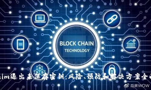 Tokenim退出未保存密钥：风险、预防和解决方案全面解析