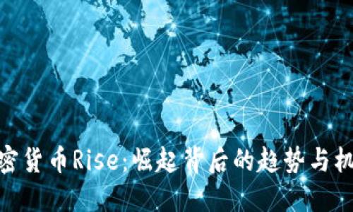 加密货币Rise：崛起背后的趋势与机遇