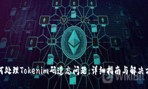 如何处理Tokenim码遗忘问题：详细指南与解决方案