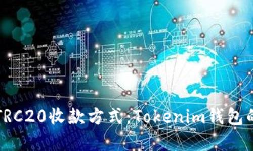 如何选择TRC20收款方式：Tokenim钱包的全面指南