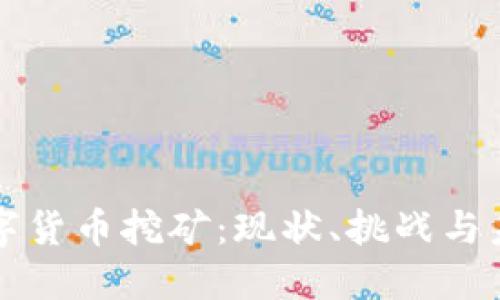 美国加密数字货币挖矿：现状、挑战与未来发展趋势