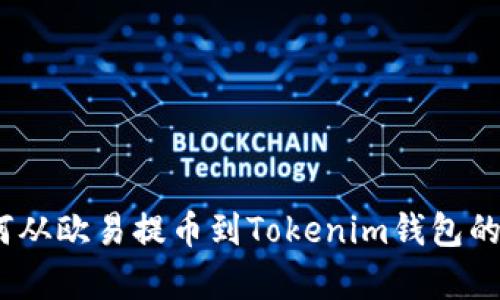 全面解析：如何从欧易提币到Tokenim钱包的详细操作指南