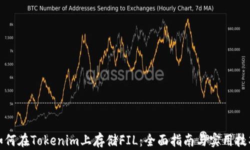 
如何在Tokenim上存储FIL：全面指南与实用技巧