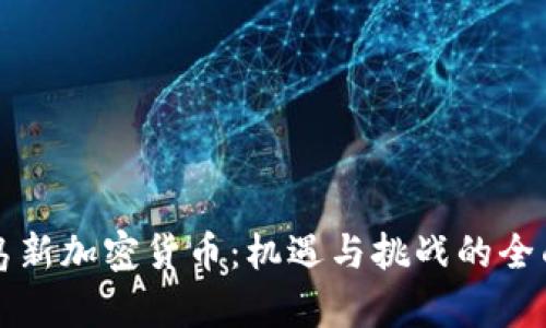 曼群岛新加密货币：机遇与挑战的全面解析