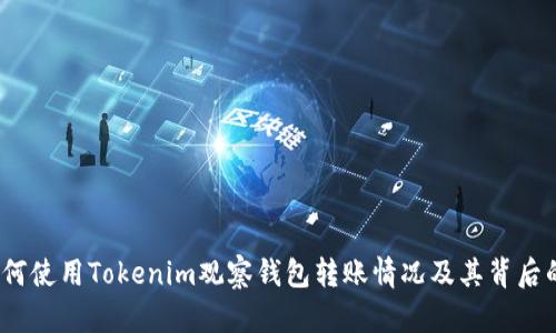 深入解析：如何使用Tokenim观察钱包转账情况及其背后的区块链技术