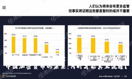 思考一个吸引用户查看且详细全面的优秀
中国加密货币的未来：何时才能真正流通？