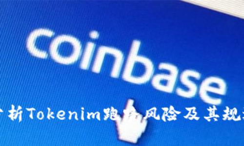 深入分析Tokenim跑路风险及其规避策略