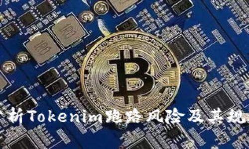 深入分析Tokenim跑路风险及其规避策略