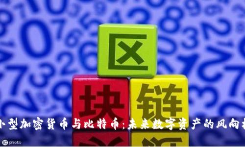 小型加密货币与比特币：未来数字资产的风向标