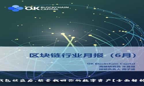 : Tokenim钱包被盗后，能否找回你的数字资产？全面解析与防范措施
