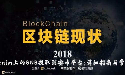 如何将Tokenim上的BNB提取到安币平台：详细指南与常见问题解答