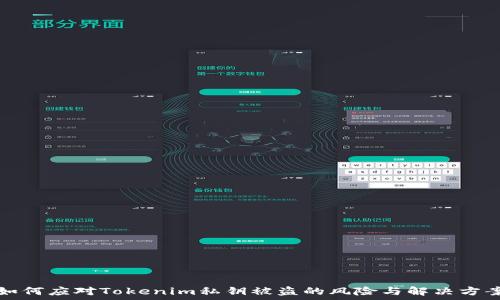  
如何应对Tokenim私钥被盗的风险与解决方案