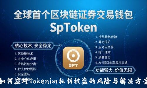  
如何应对Tokenim私钥被盗的风险与解决方案