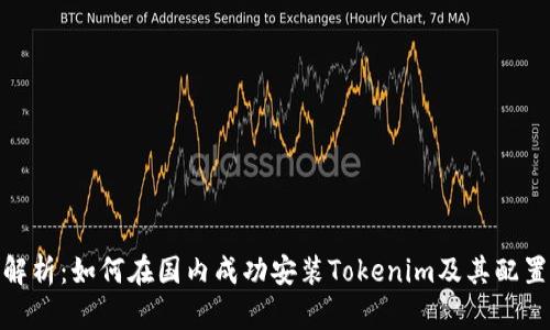 全面解析：如何在国内成功安装Tokenim及其配置步骤