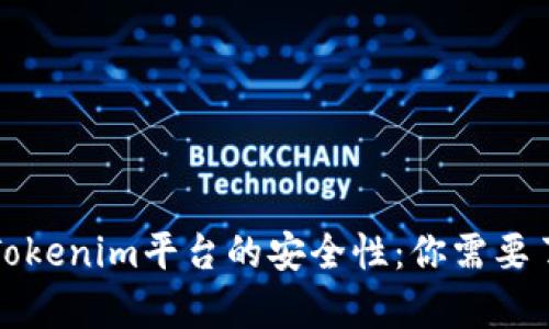 深入分析Tokenim平台的安全性：你需要了解的一切