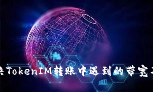 如何解决TokenIM转账中遇到的带宽不足问题